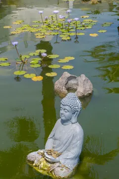 阳光彩票 界面预览1